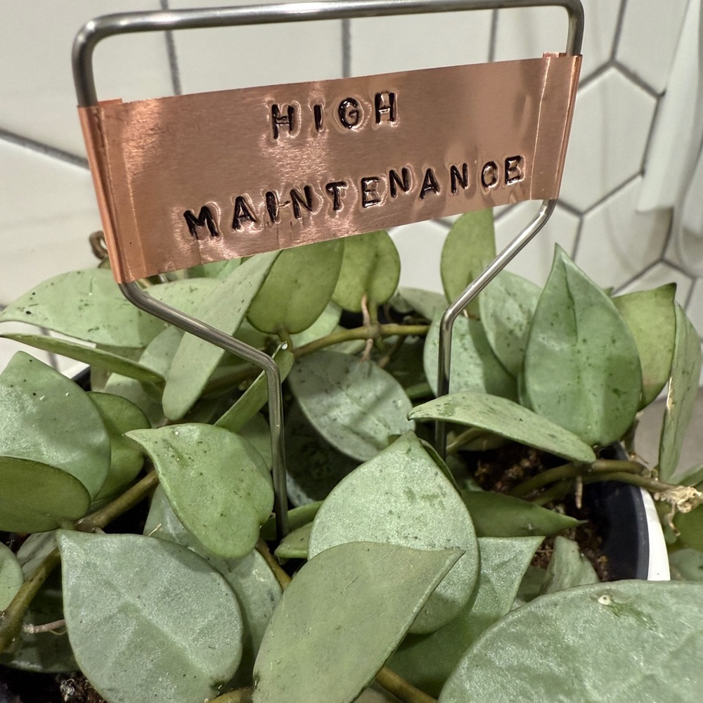 Hand Stamped Copper Plant Marker NEW High Maintenance